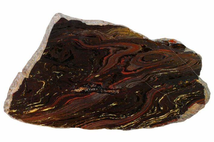 Polished Tiger Iron Stromatolite Slab - Billion Years #161865